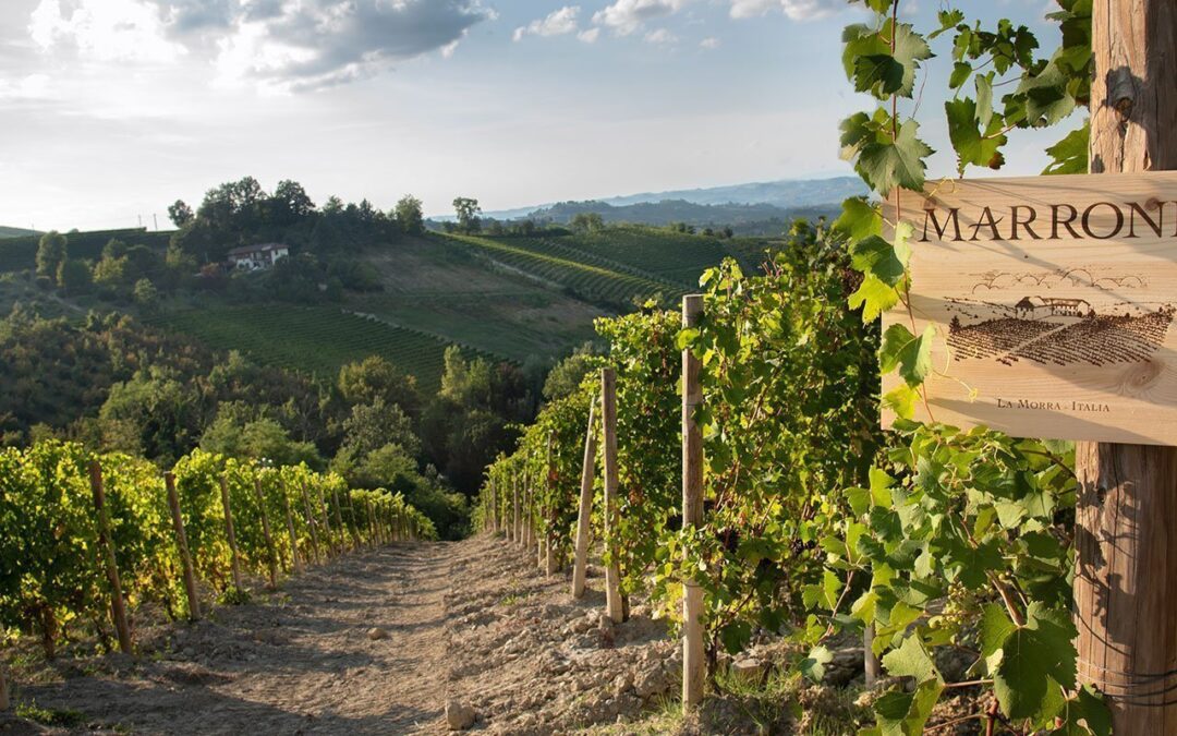 Barolo & Barbaresco Evening