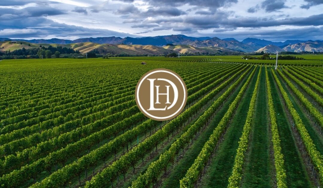 Why you should buy Lawson’s wines