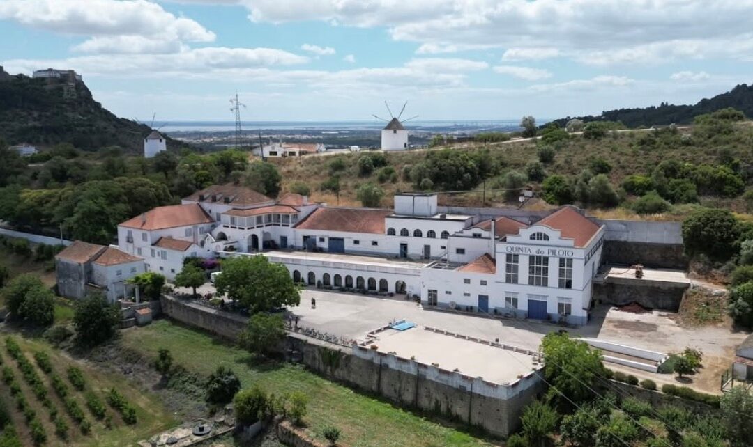 Meet Quinta do Piloto: Portugal’s Best Kept Secret