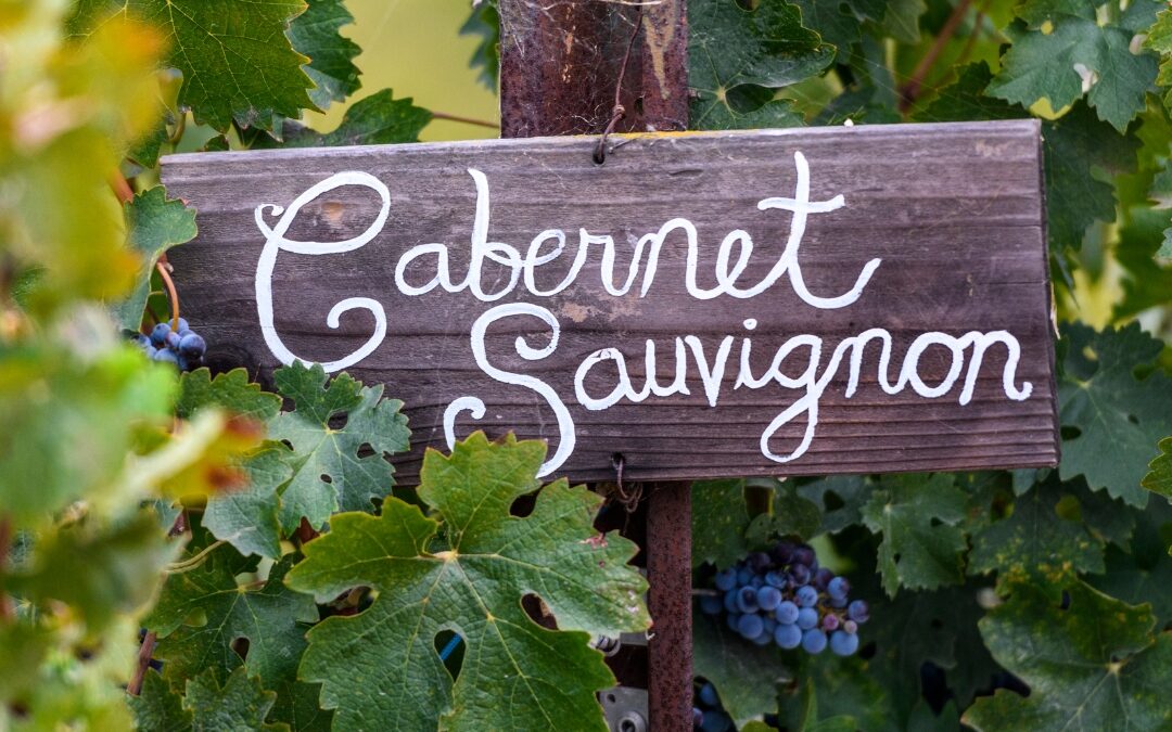 Cabernet Sauvignon: The King of Reds